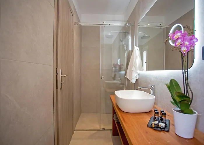 Mykonos Windmills View Lejlighed